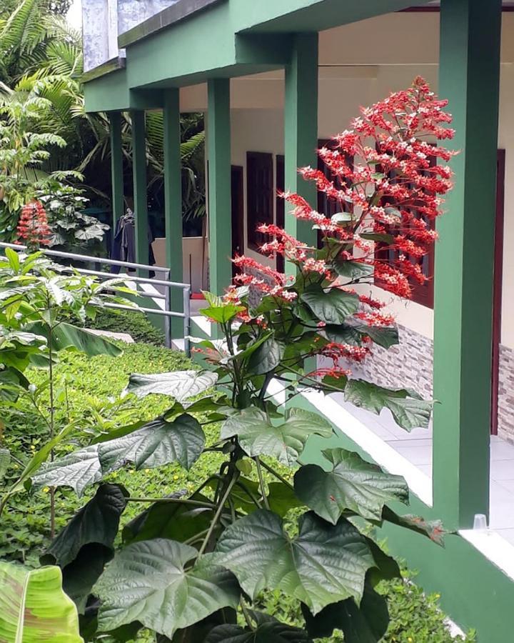 Wikungo Hotel Puerto Nariño Zewnętrze zdjęcie