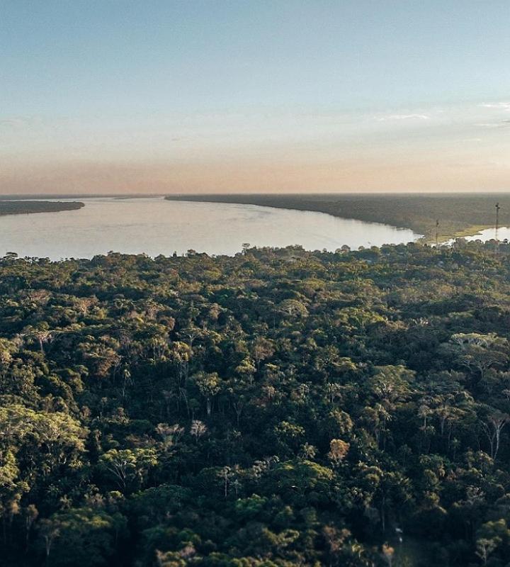 Wikungo Hotel Puerto Nariño Zewnętrze zdjęcie